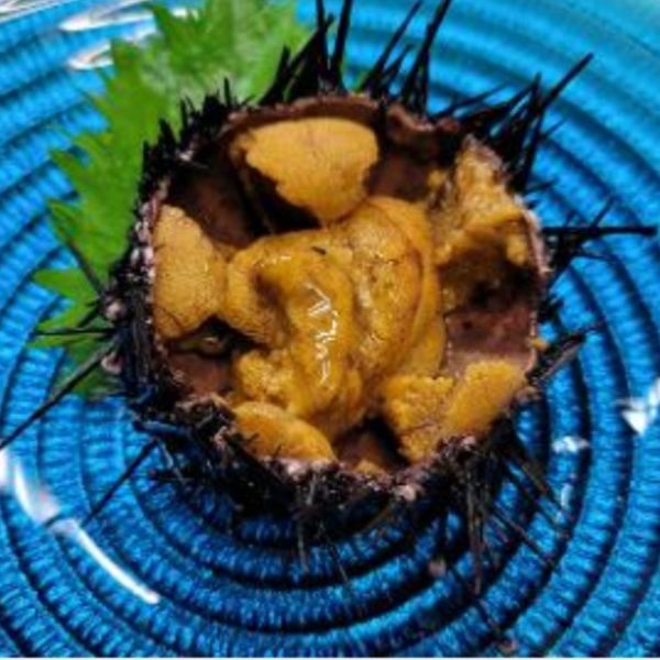 地魚が食べられる。１00％地魚の海鮮丼　太信では店主自ら魚市場で買い付け