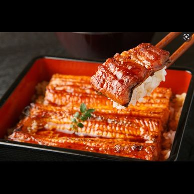 「今年の夏は絶品うなぎで元気チャージ！」