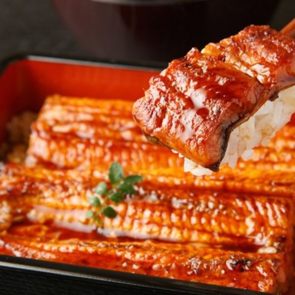 「今年の夏は絶品うなぎで元気チャージ！」